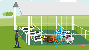 安樂(lè)福-智能動(dòng)物監(jiān)測(cè)產(chǎn)品演示動(dòng)畫(huà)_北京凱瑪-宣傳片拍攝制作公司-專業(yè)宣傳片拍攝,企業(yè)宣傳片,宣傳片制作